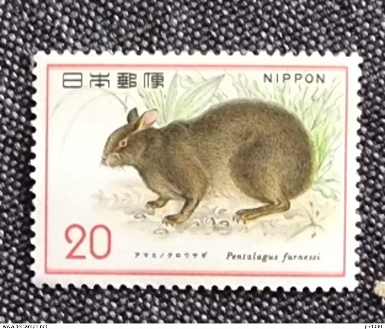 BHOUTAN Lapins, Lapin, Rabbit, Conejo.Lapin D'Amami (Pentalagus Furnessi) Yvert N° 1120. ** Neuf Sans Charnière - Lapins