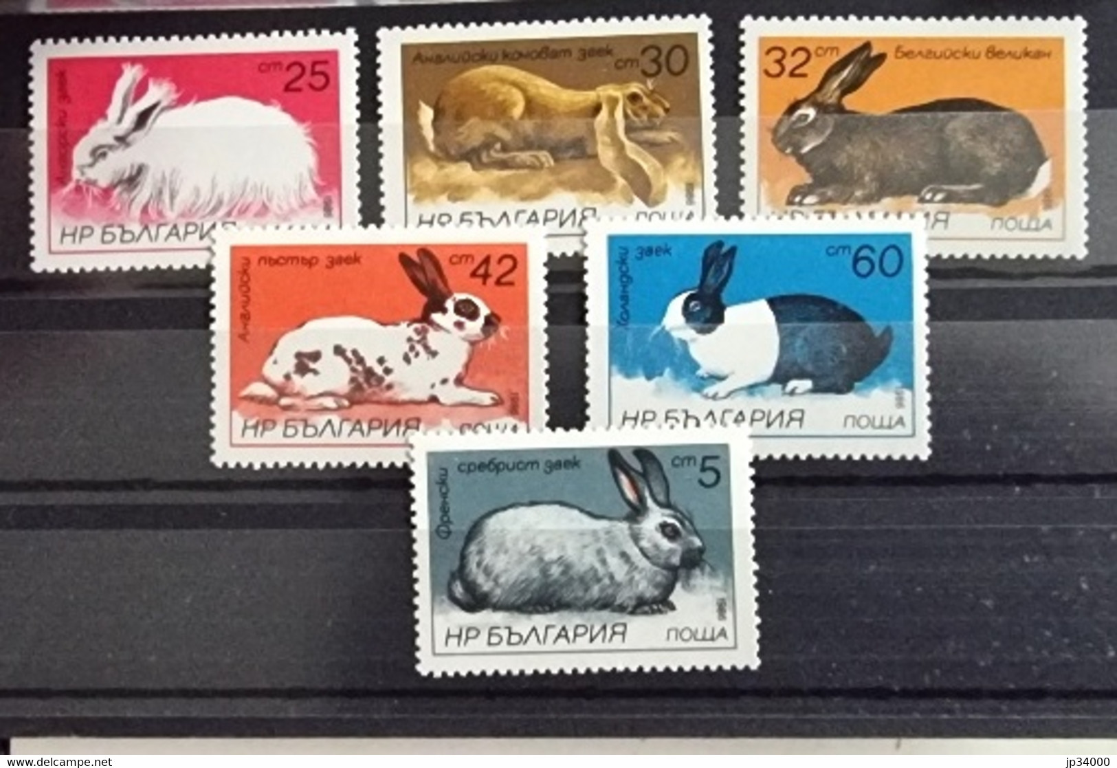 BULGARIE Lapins, Lapin, Rabbit, Conejo. Yvert 2993/98 ** Neuf Sans Charnière DENTELE - Lapins