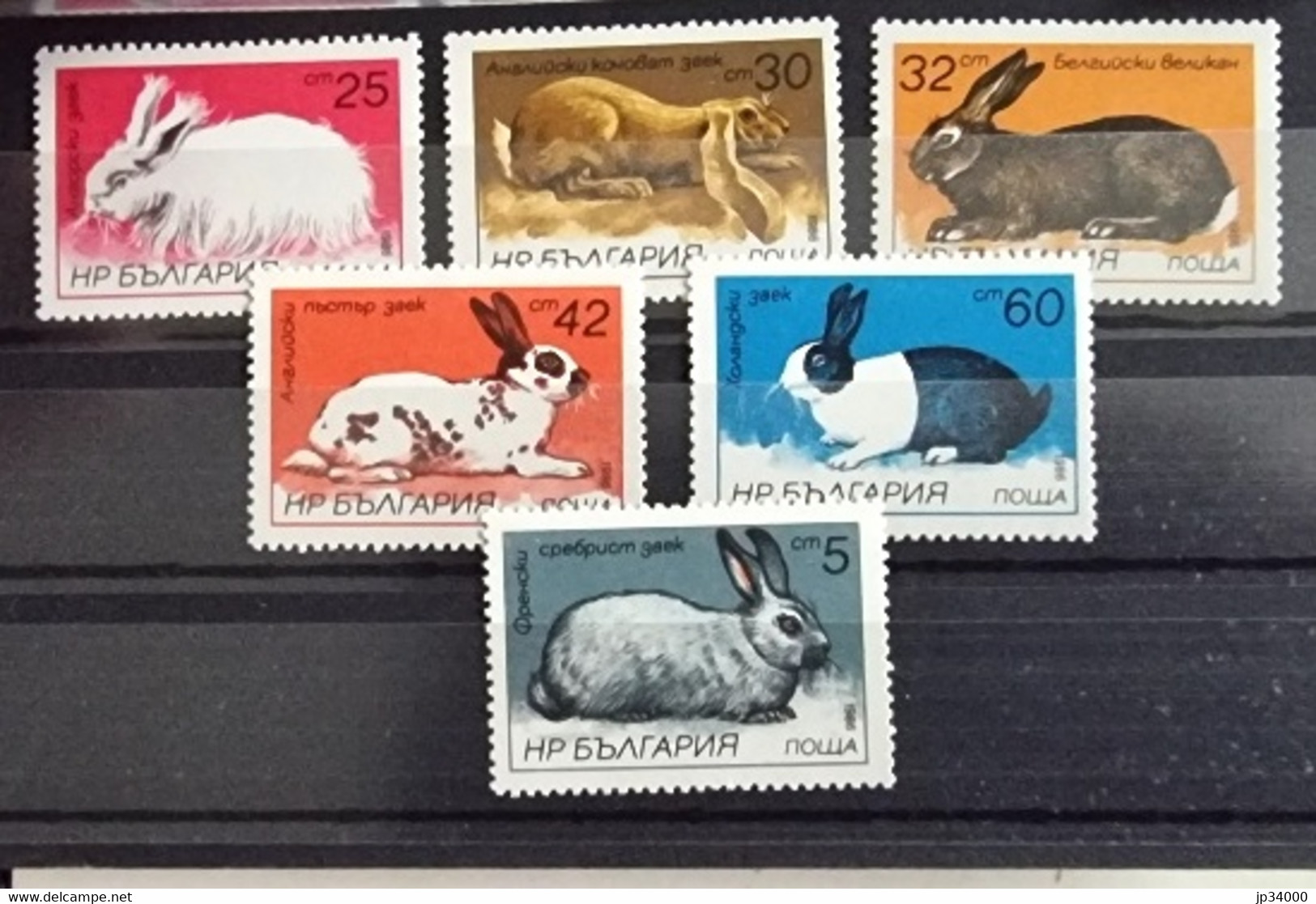 BULGARIE Lapins, Lapin, Rabbit, Conejo. Yvert 2993/98 ** Neuf Sans Charnière DENTELE - Rabbits