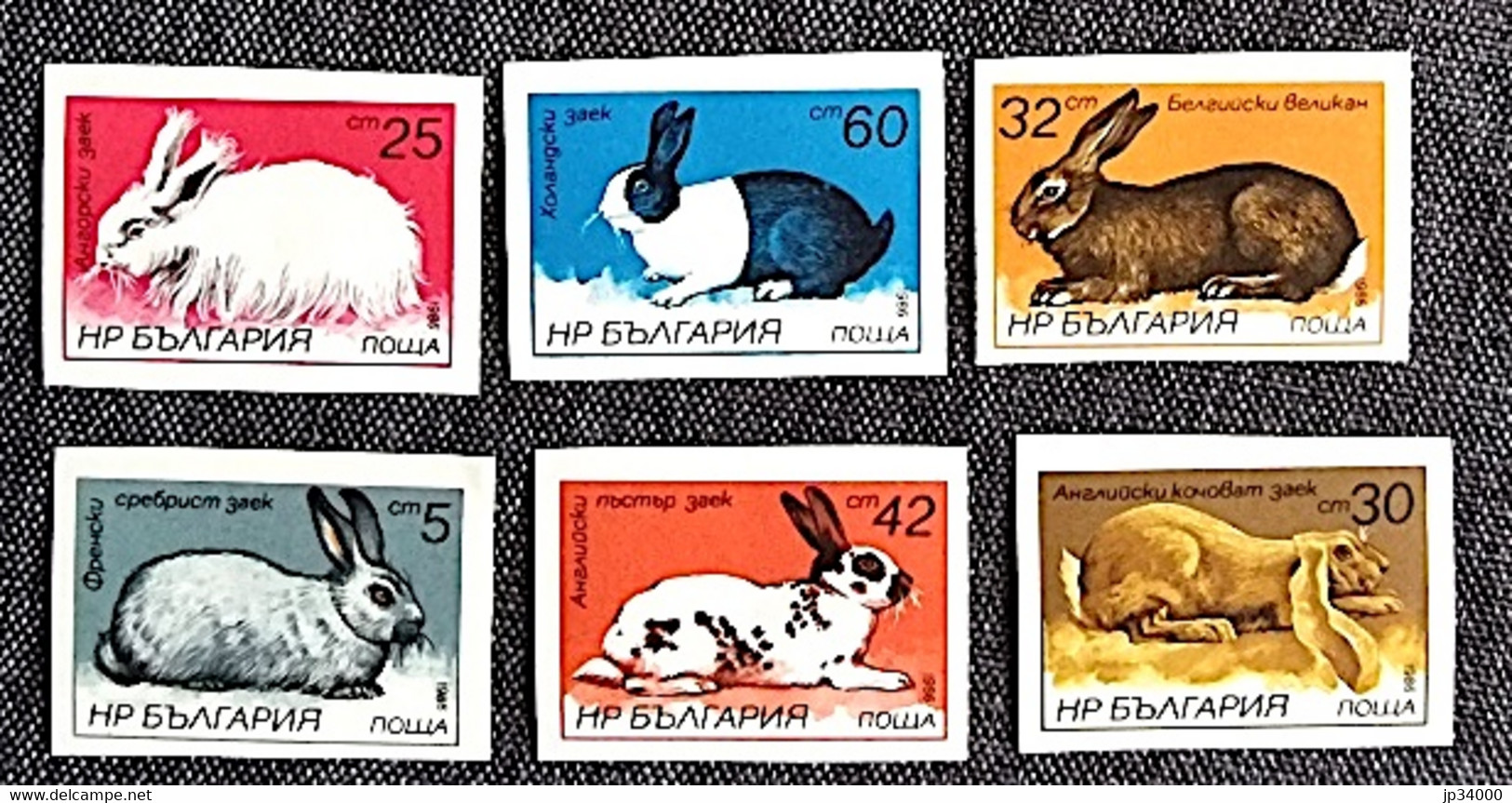 BULGARIE Lapins, Lapin, Rabbit, Conejo. Yvert 2993/98 ** Neuf Sans Charnière NON DENTELE - Conejos