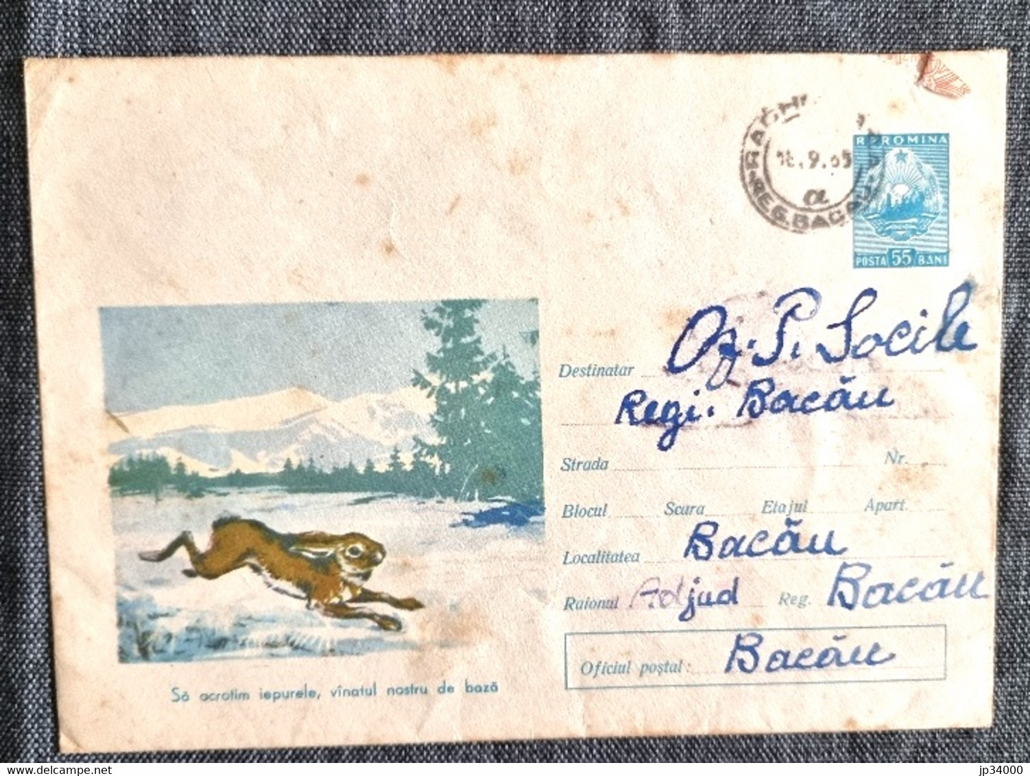 ROUMANIE Lapins, Lapin, Rabbit, Conejo. Entier Postal Emis En 1964 Et Ayant Circulé - Conejos