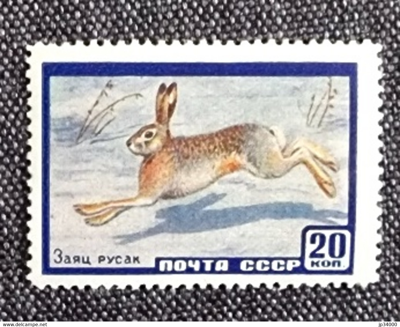 RUSSIE - Ex URSS Lapins, Lapin, Rabbit, Conejo. 1 Valeur Dentelée ** Neuf Sans Charnière - Conejos
