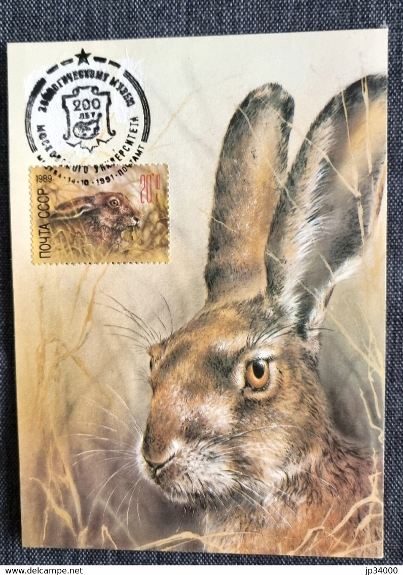 RUSSIE Lapins, Lapin, Rabbit, Conejo. Yvert N° 5616 Carte Maximum, FDC, Premier Jour - Rabbits