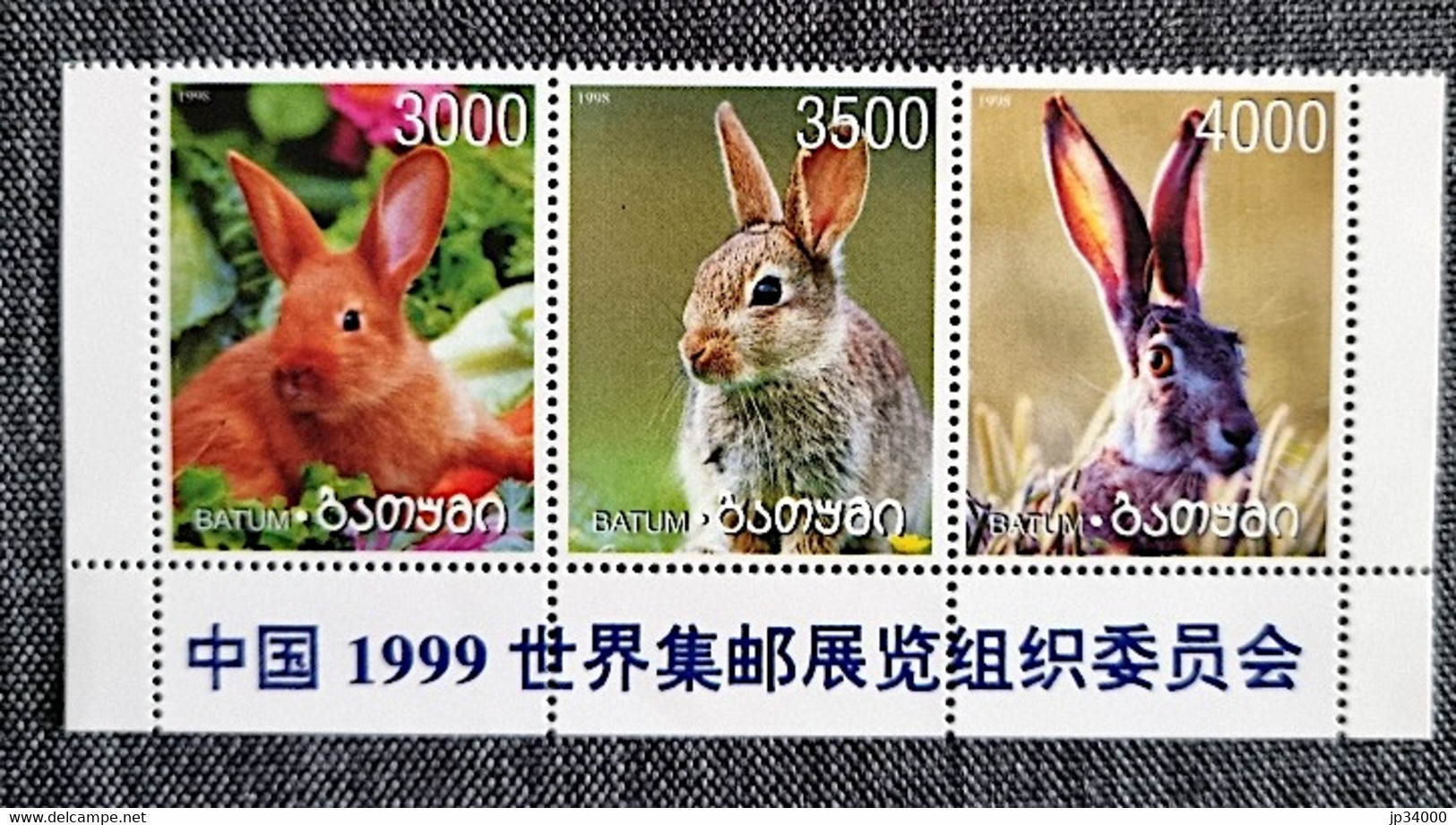 RUSSIE-Ex URSS Lapins, Lapin, Rabbit, Conejo.** Neuf Sans Charnière (Feuillet 3 Valeurs) - Rabbits