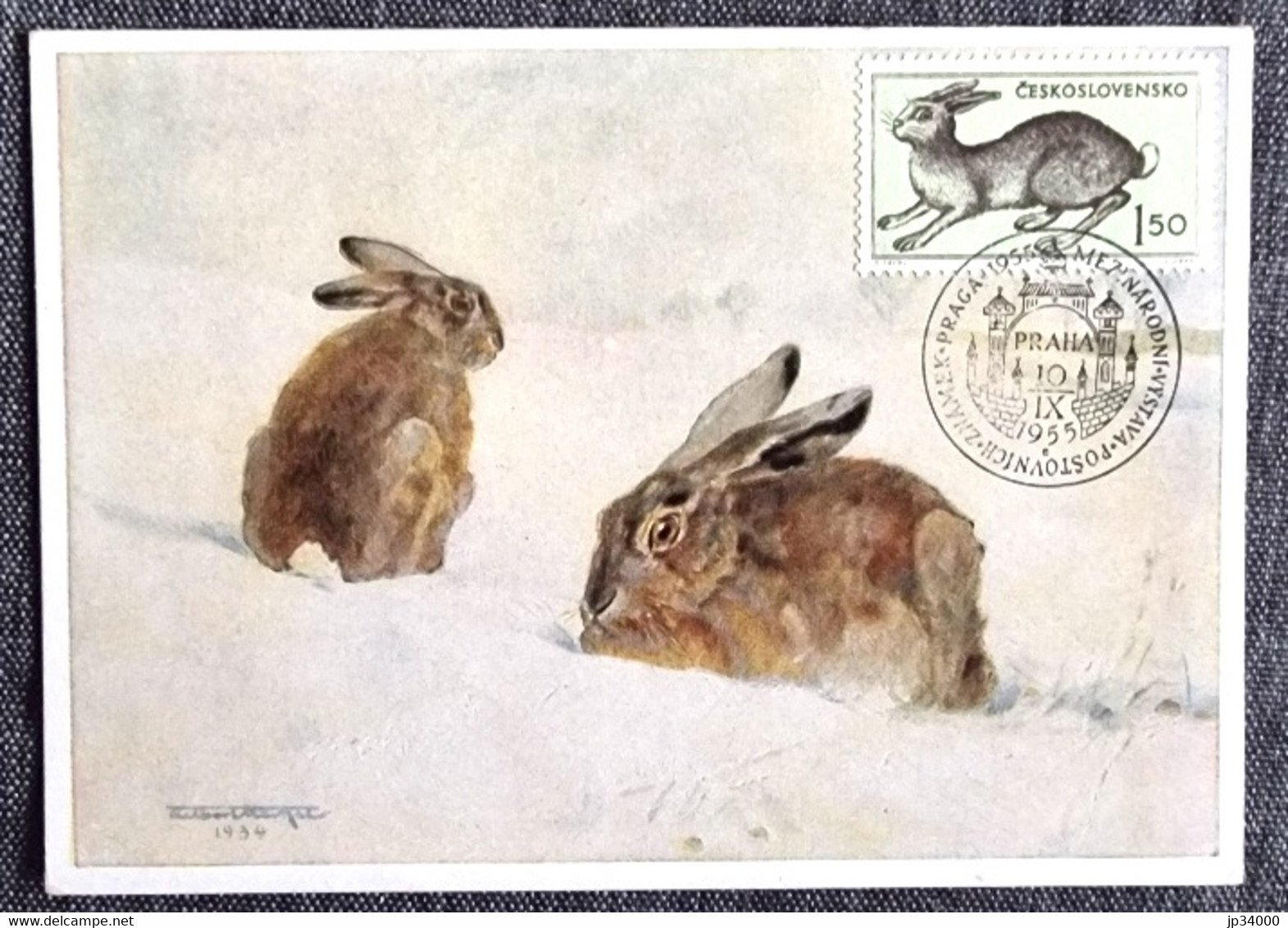 TCHECOSLOVAQUIE Lapins, Lapin, Rabbit, Conejo. Yvert N° 824 Carte Maximum, FDC, Premier Jour 1955 - Hasen