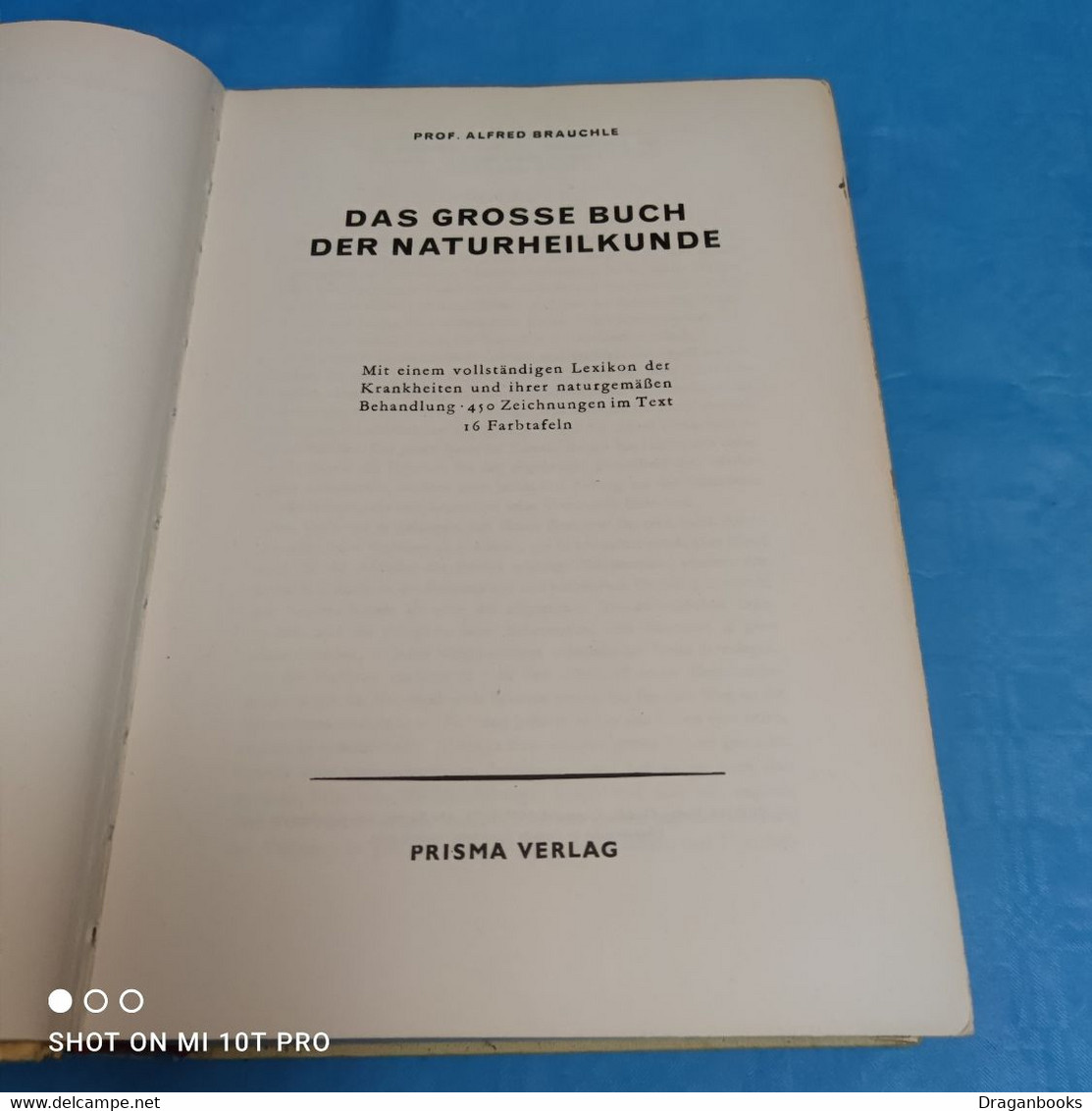 Prof. Alfred Brauchle - Das Grosse Buch Der Naturheilkunde - Health & Medecine