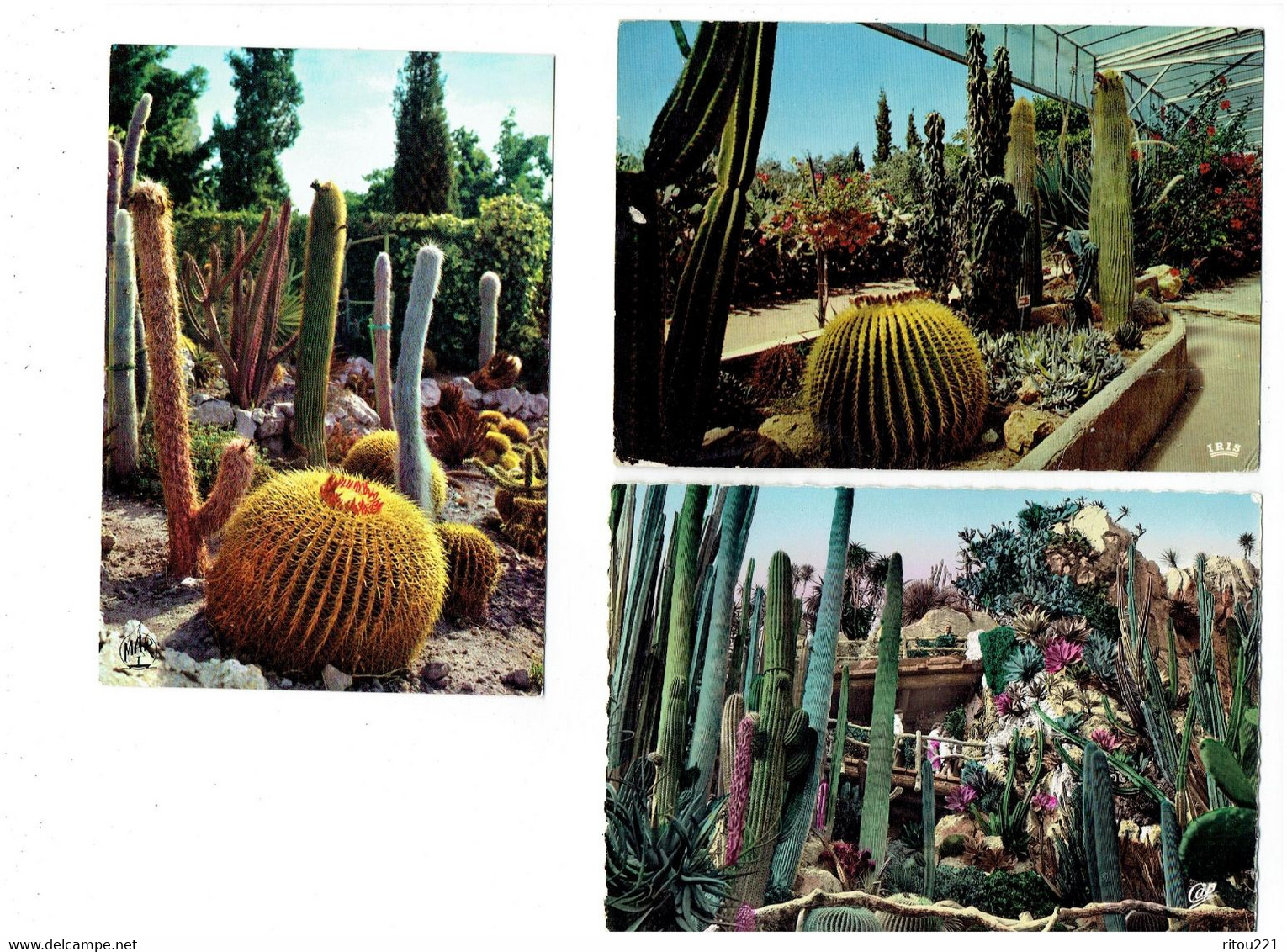 Lot 3 Cpm - MONACO - Jardin Exotique - EZE - SANARY BANDOL - Zoo - Cactus - Cactusses