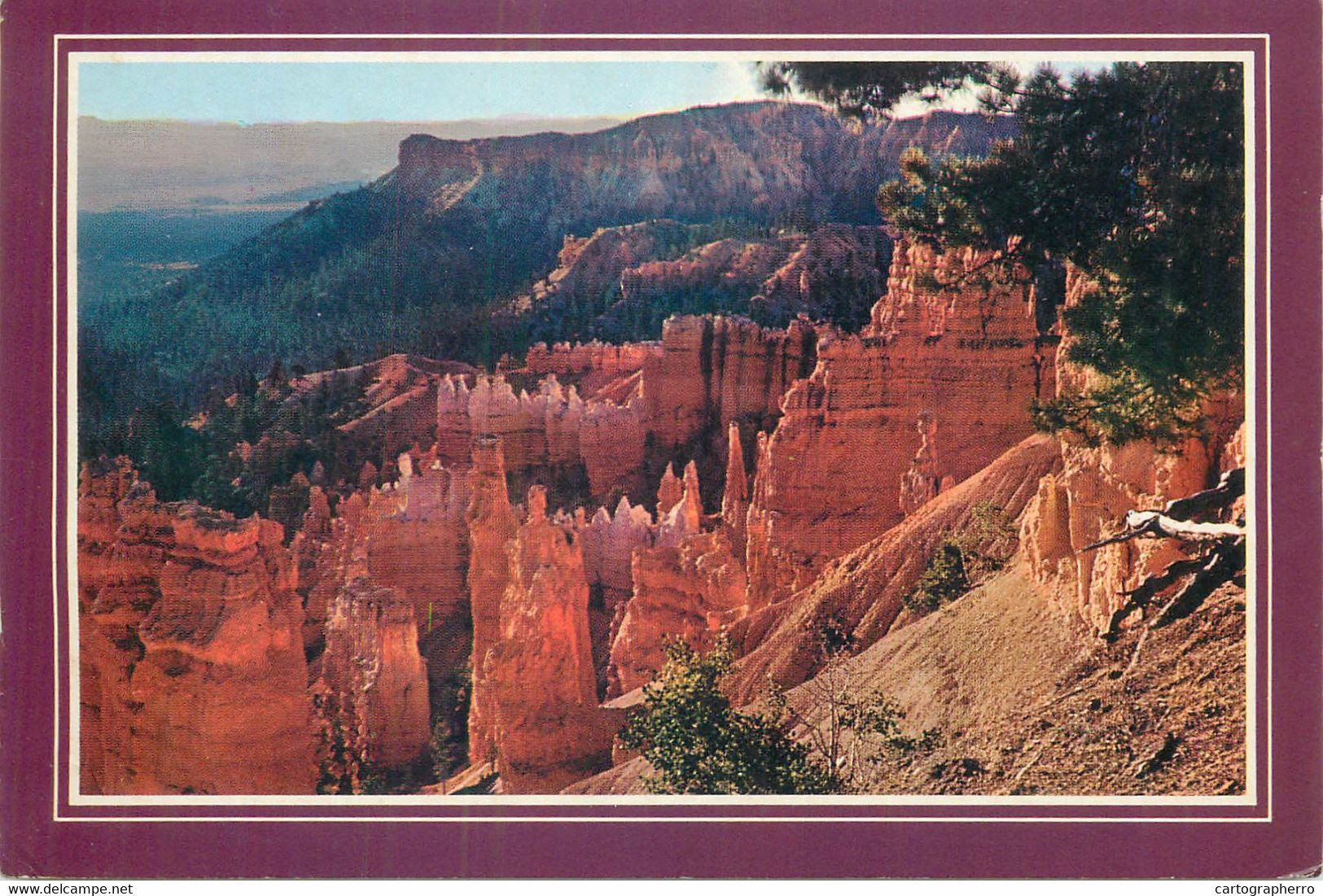 Postcard United States > UT - Utah > Bryce Canyon Cedar City - Bryce Canyon