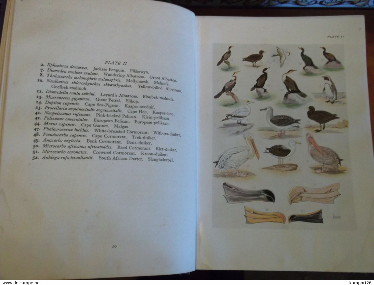 1953 The Birds Of South Africa AUSTIN ROBERTS Ornithology Le Monde De L'ornithologie - Vida Salvaje