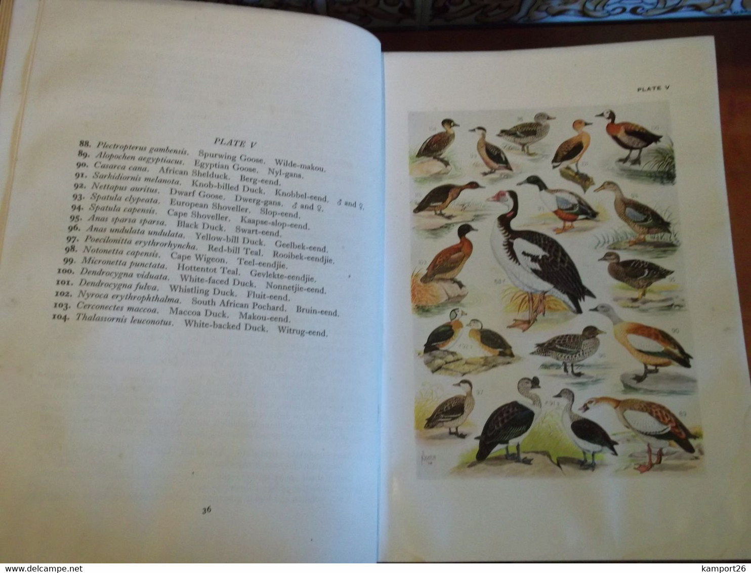 1953 The Birds Of South Africa AUSTIN ROBERTS Ornithology Le Monde De L'ornithologie - Vita Selvaggia