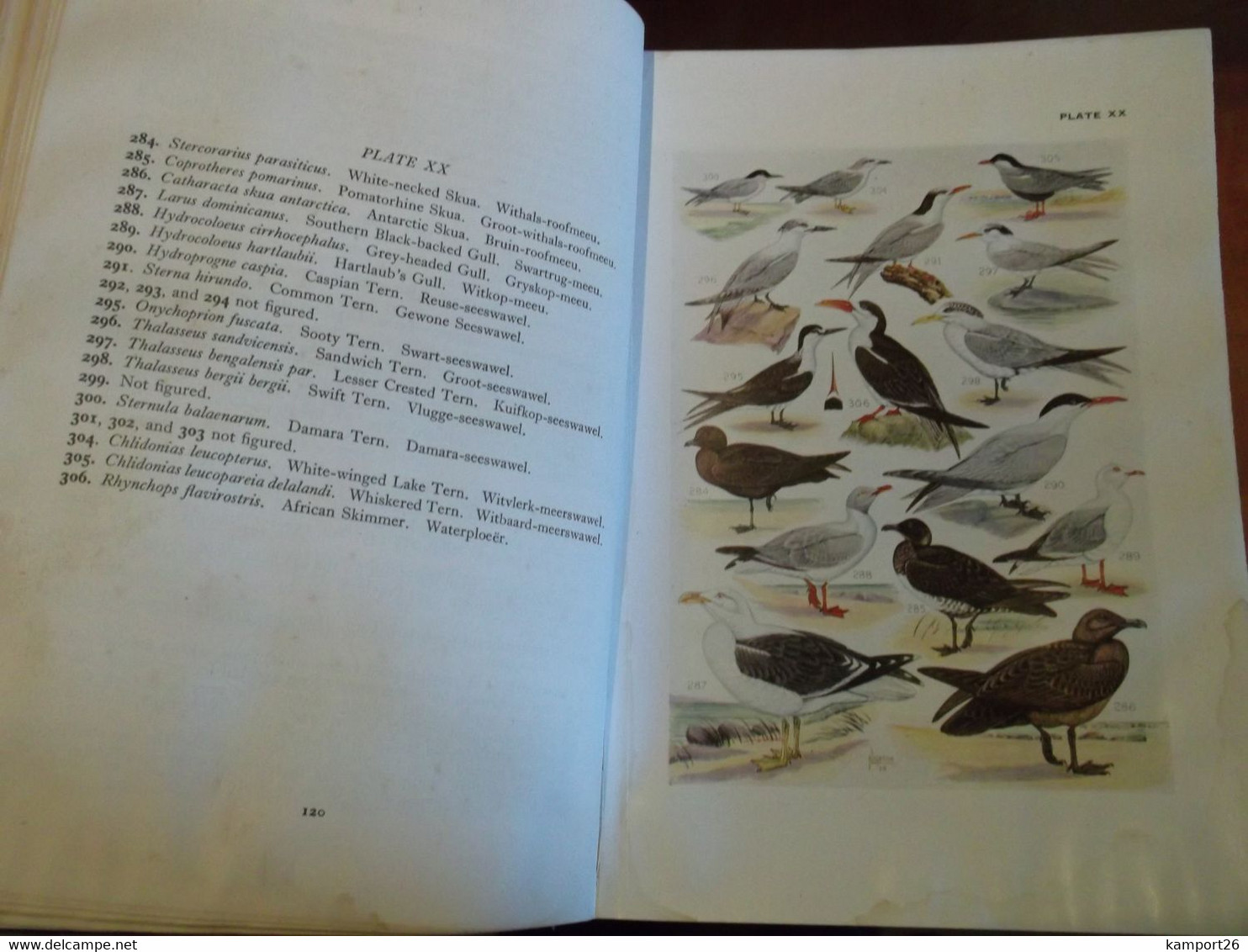 1953 The Birds of South Africa AUSTIN ROBERTS Ornithology Le monde de l'ornithologie