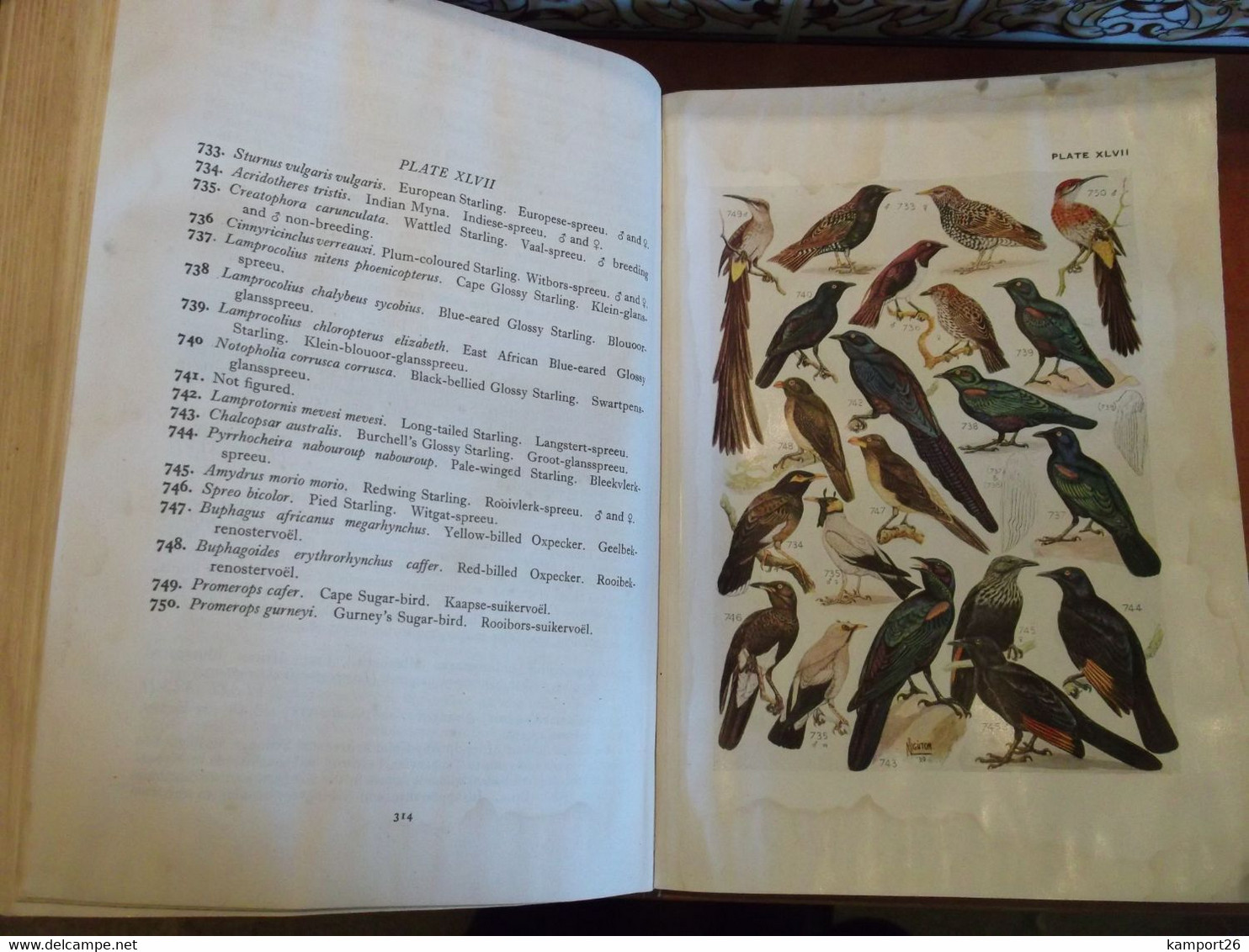 1953 The Birds of South Africa AUSTIN ROBERTS Ornithology Le monde de l'ornithologie