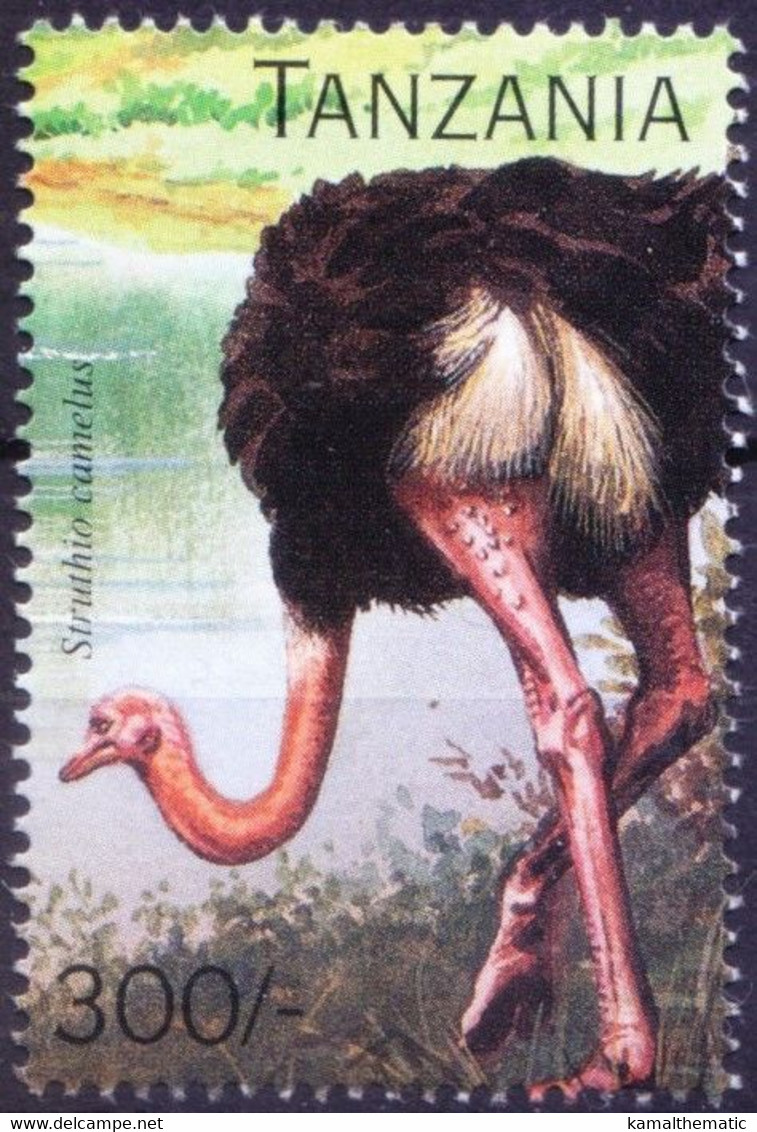 Tanzania 1996 MNH, Common Ostrich, Birds - Autruches