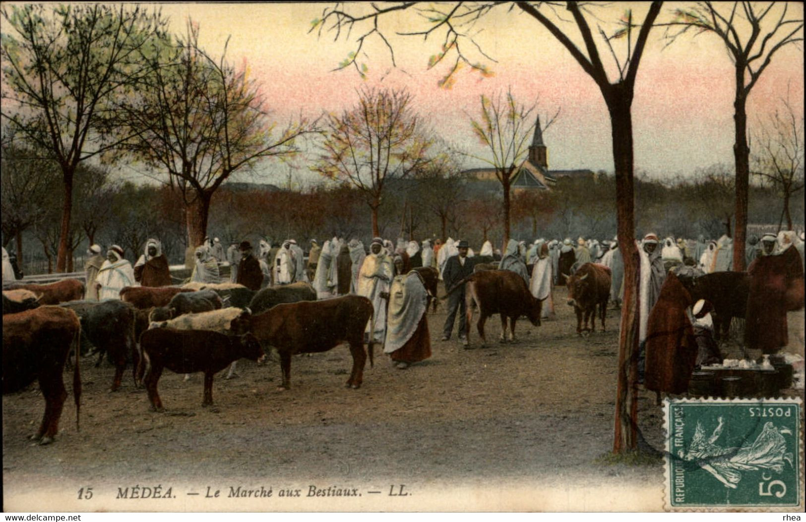 ALGERIE - MEDEA - Le Marché Aux Bestiaux - Medea