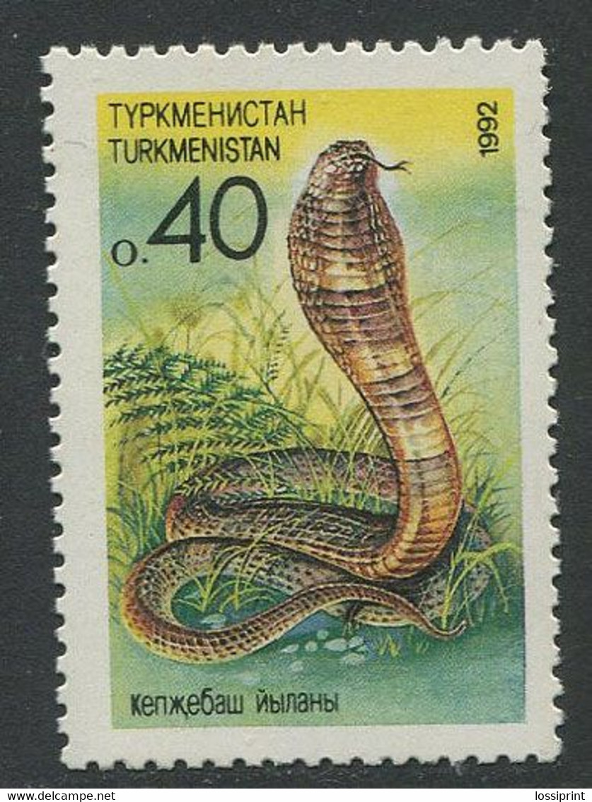 Turkmenistan:Unused Stamp Snake, Cobra, 1992, MNH - Turkmenistan