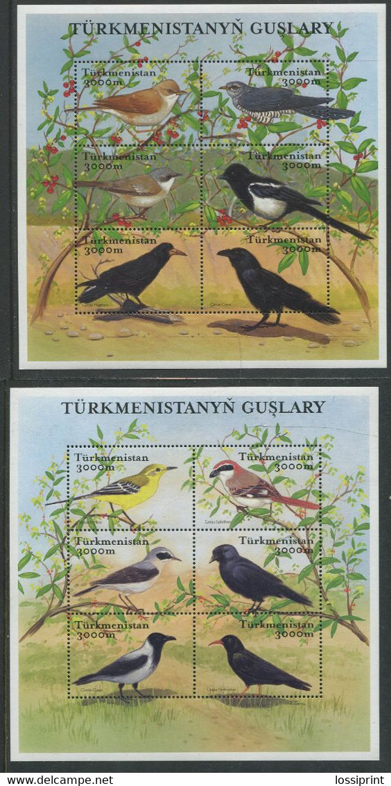 Turkmenistan:Unused Sheets And Blocs Birds, Duck, Crow, 2002, MNH - Turkménistan