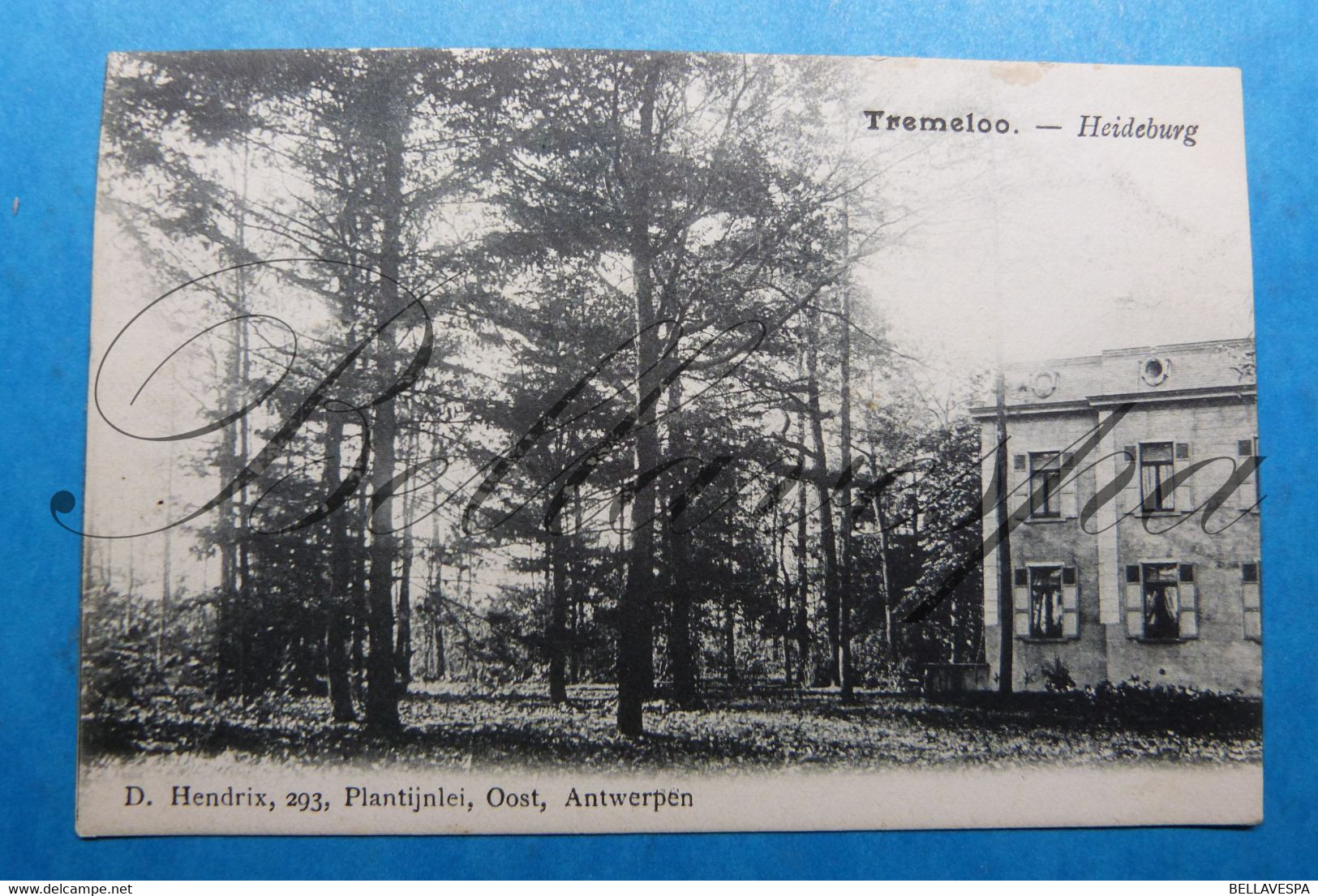 Tremelo Heideburg  1909 Verzonden Door A. Matthys - Tremelo