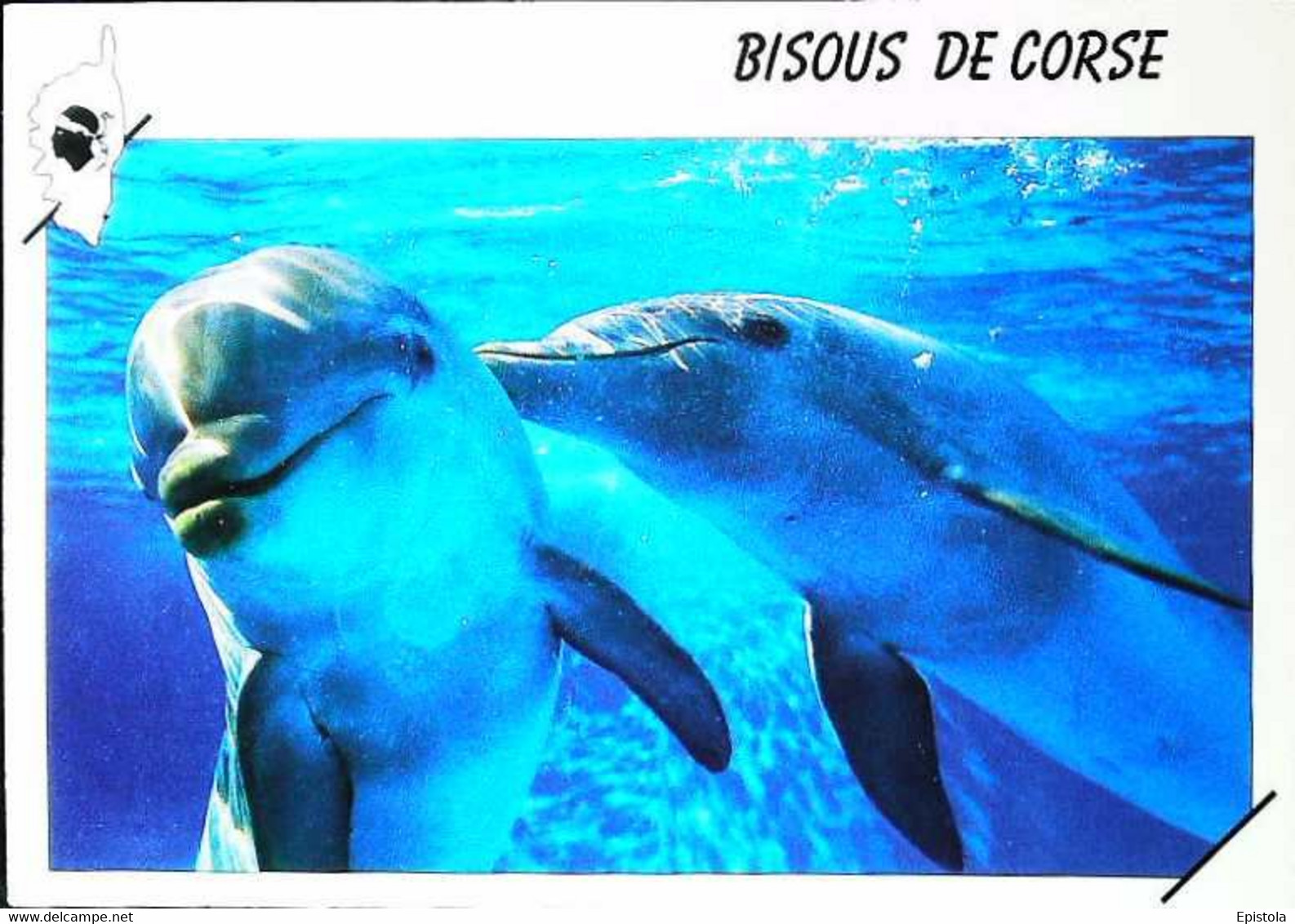 ►   Dauphin     Bisous De Corse - Dauphins