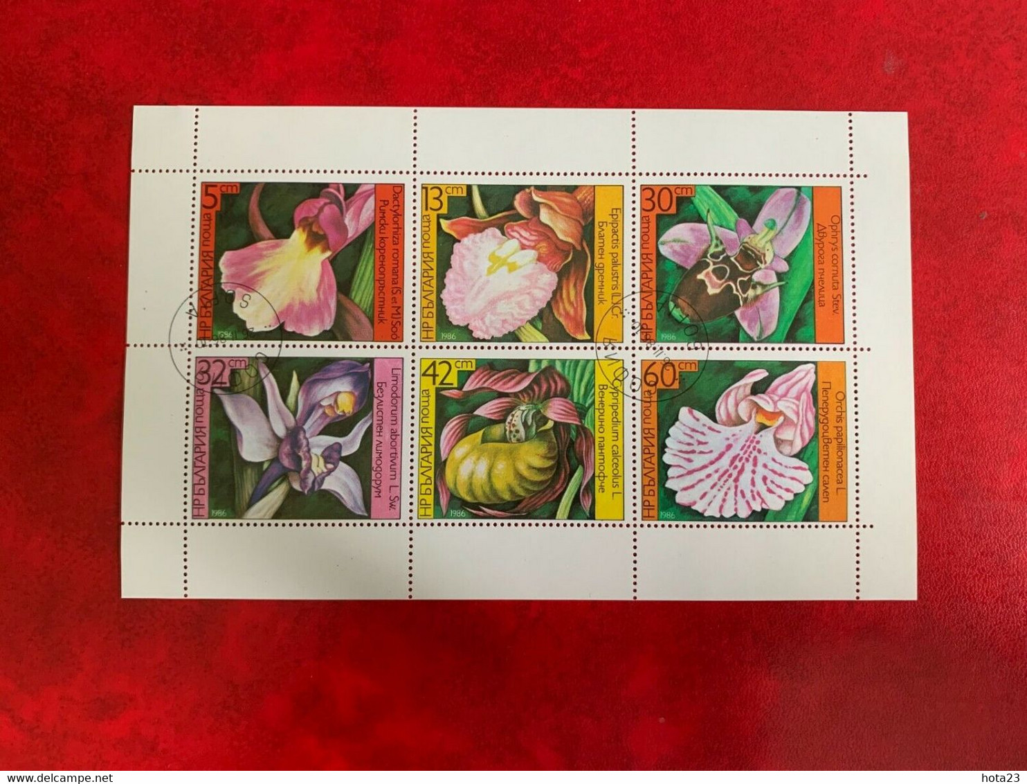 Bulgaria 1986 FLOWER Orhideas,Orchideen Flowers MINISHEET Set Used SG#3318-3323 MI#3441-3446 - Usados