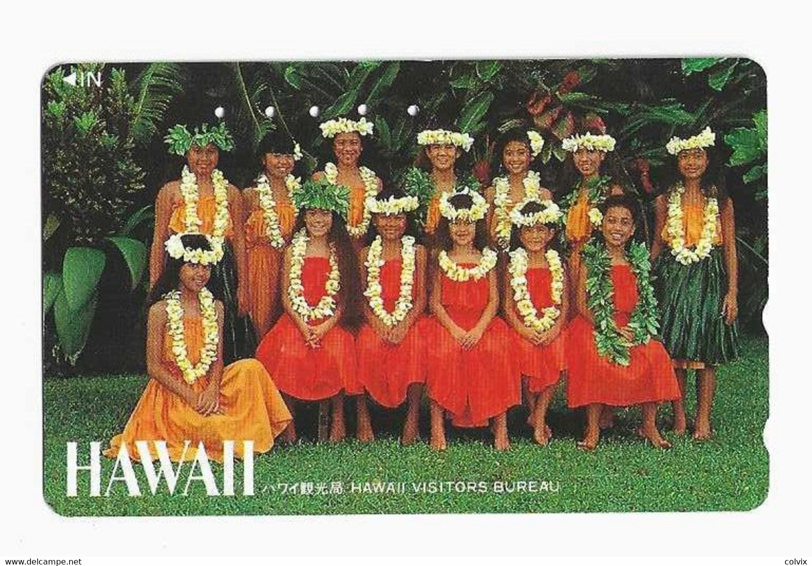 HAWAII   Télécarte JAPON - Hawaï