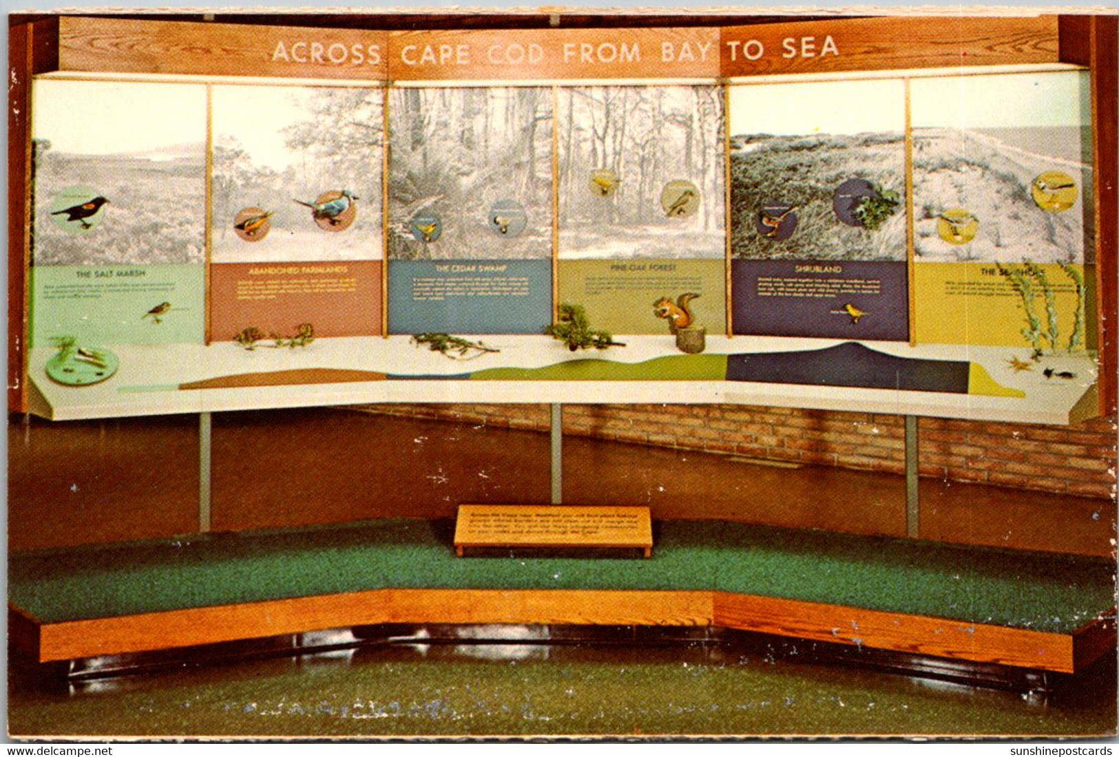 Massachusetts Cape Cod Salt Pond Visitor Center Display Across The Cape From Bay To Sea - Cape Cod