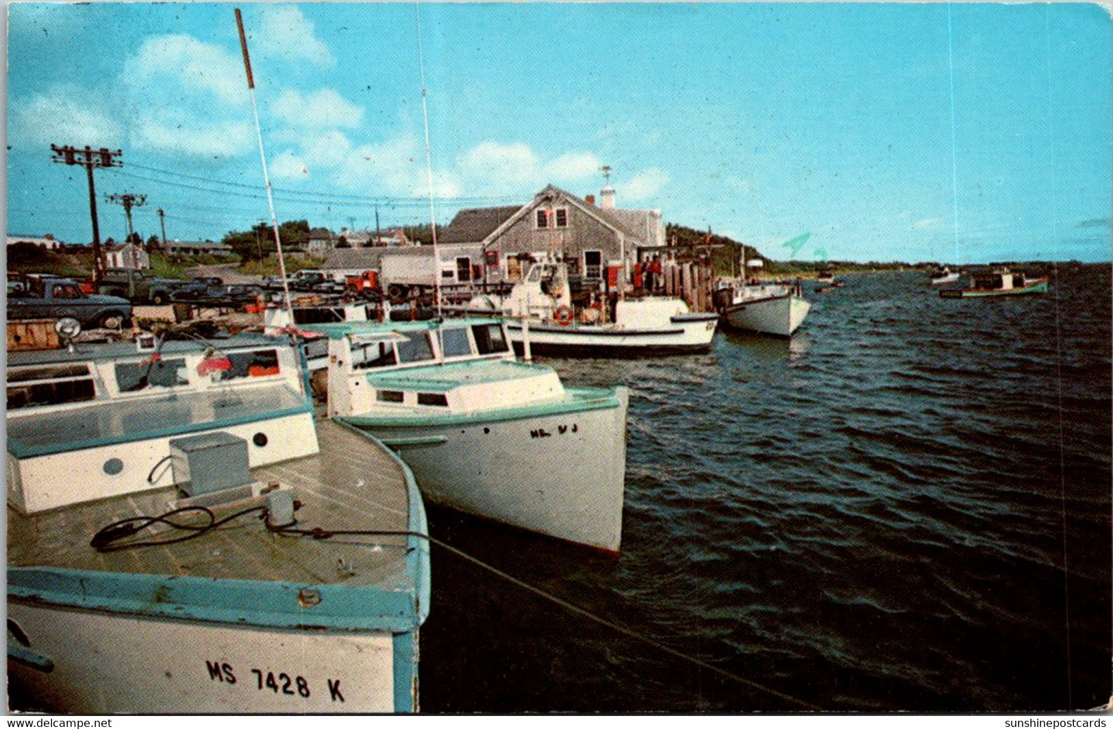 Massachusetts Cape Cod Chatham Fish Pier - Cape Cod