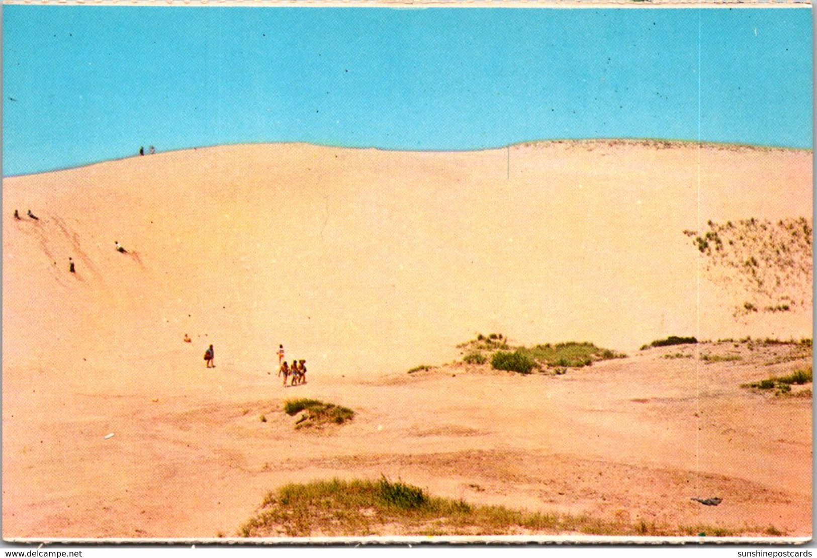 Massachusetts Cape Cod National Seashore Sand Dunes - Cape Cod