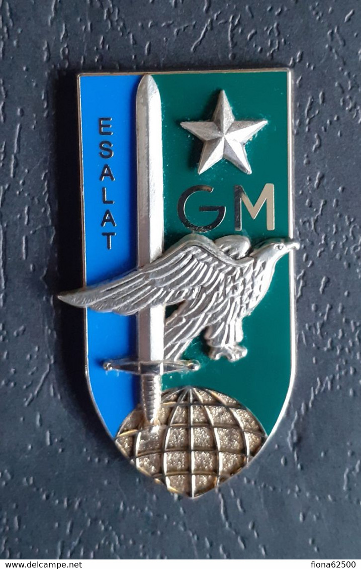 INSIGNE DE L'ECOLE DE SPECIALISATION DE L'AVIATION LEGERE . GROUPE MANOEUVRE . - Armée De Terre