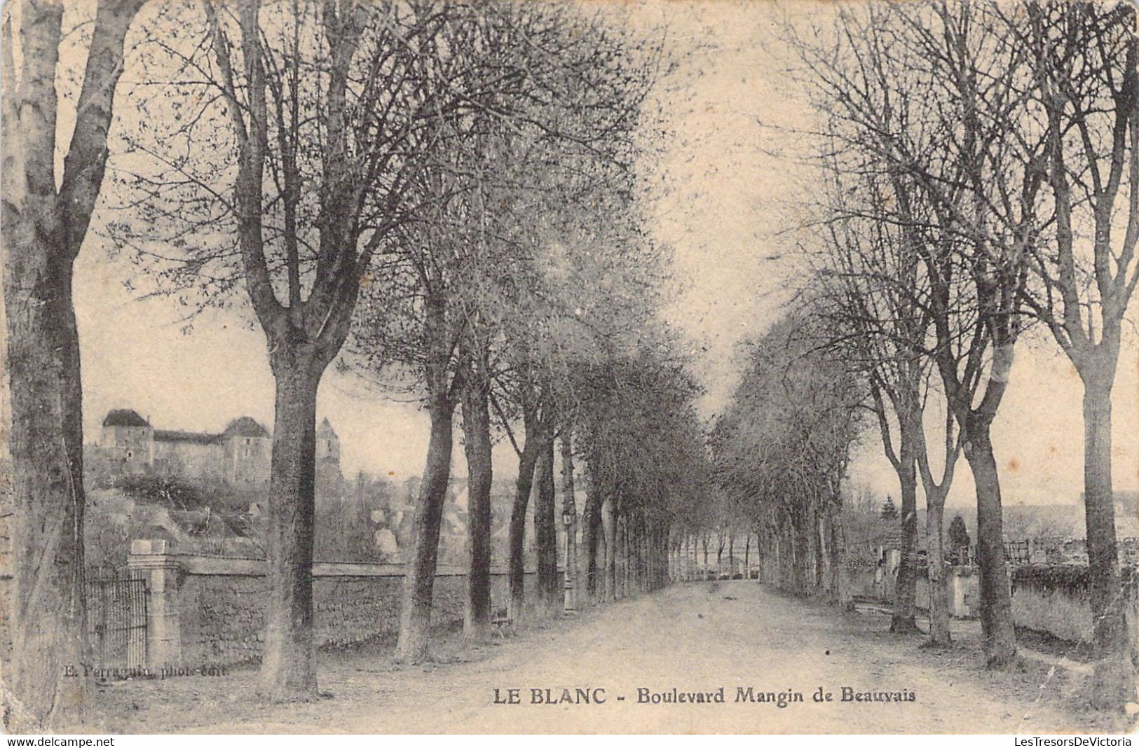 CPA FRANCE - 36 - LE BLANC - Boulevard Mangin De Beauvais - Perrouguin - Le Blanc