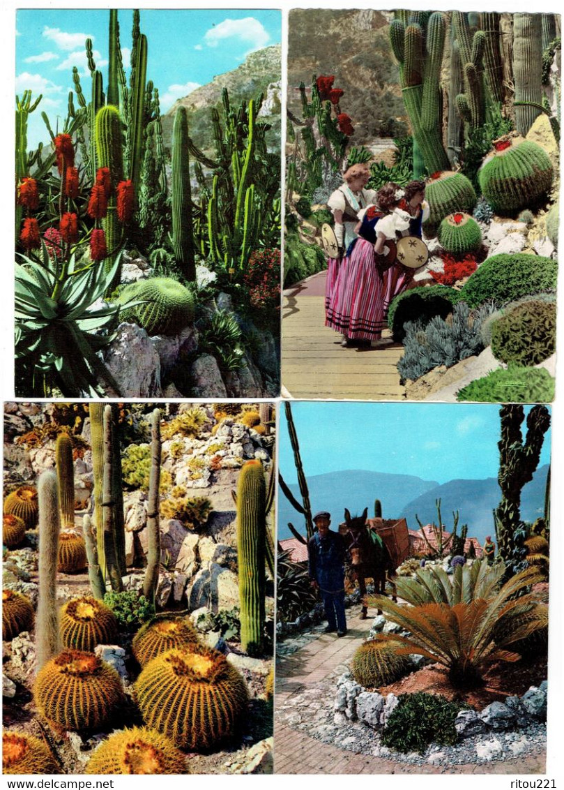 Lot 12 Cpm MONACO Jardin Exotique CACTUS âne Azur Agave Coussin De Belle-mère Candélabre Costume  SANARY BANDOL GIENS - Cactusses