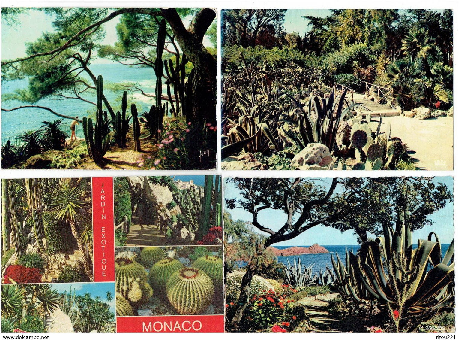 Lot 12 Cpm MONACO Jardin Exotique CACTUS âne Azur Agave Coussin De Belle-mère Candélabre Costume  SANARY BANDOL GIENS - Cactus