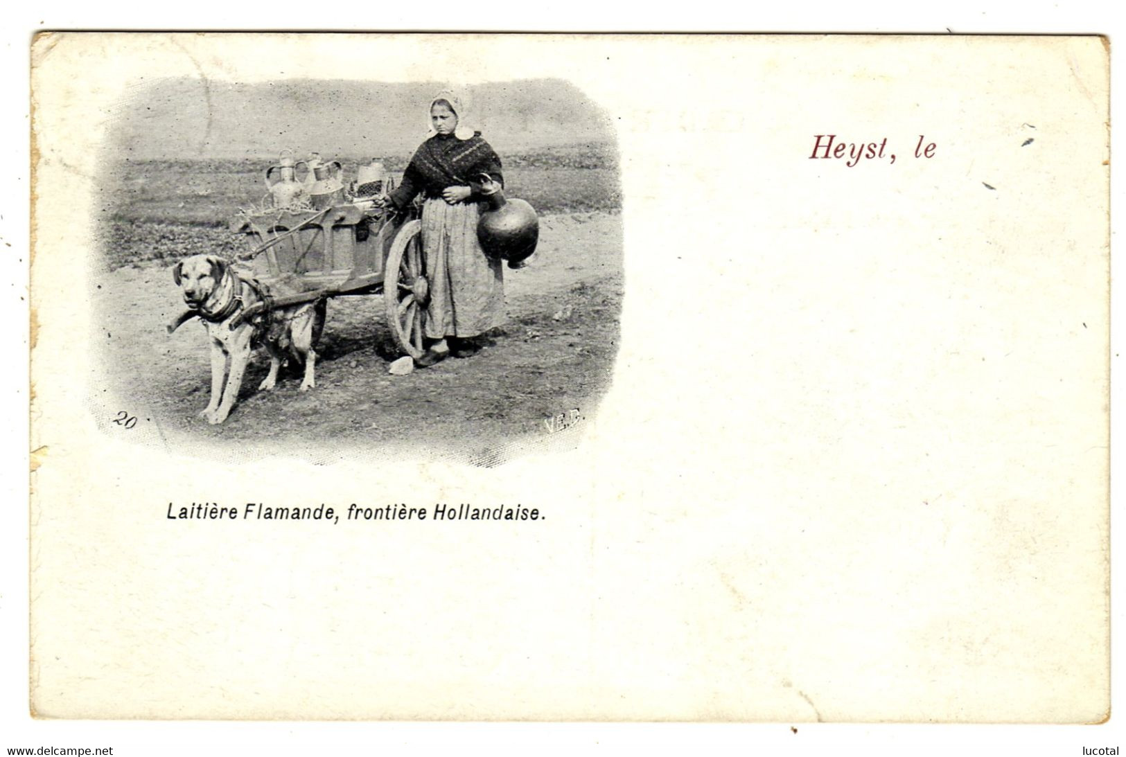 Heist A/ Zee - Melkvrouw Met Hondenkar Aan Hollandse Grens - 1903 - Uitgever VED Nr 20 - Heist