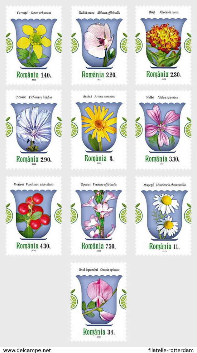 Roemenië / Romania - Postfris / MNH - Complete Set Medical Plants 2023 - Unused Stamps