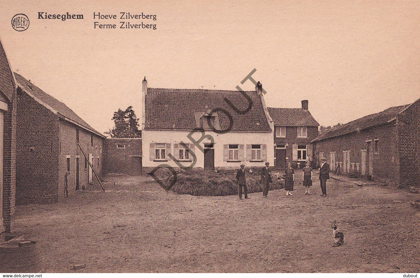 Postkaarte/Carte Postale - Tielt-Winge - Kiezegem/Kieseghem - Hoeve Zilverberg (C3201) - Tielt-Winge