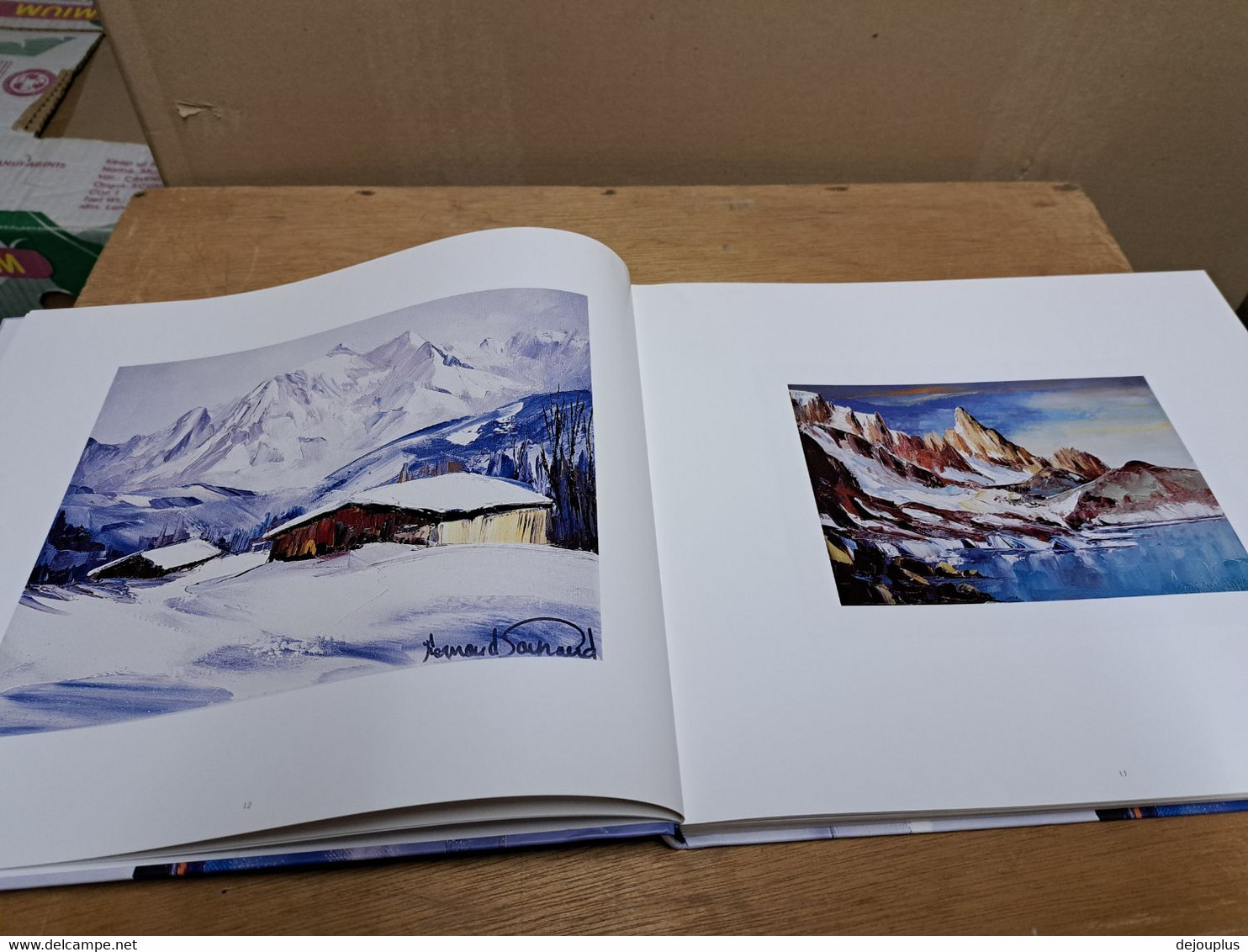 LIVRE  PEINTRE  FERNAND  PAYRAUD  PEINTURES  ET  LUMIERES   CHEZ  ESOPE  2004 - Alpes - Pays-de-Savoie