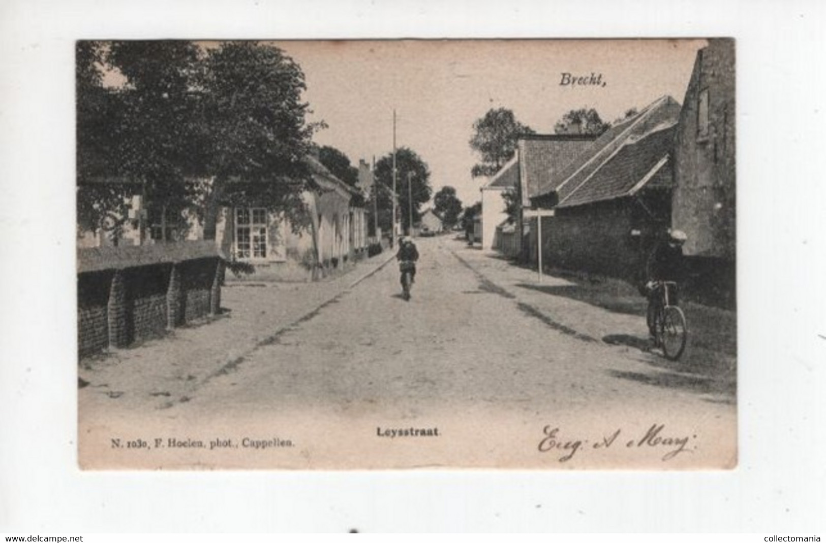 1 Oude Postkaart  Brecht Leysstraat  1906  Uitgever Hoelen - Brecht