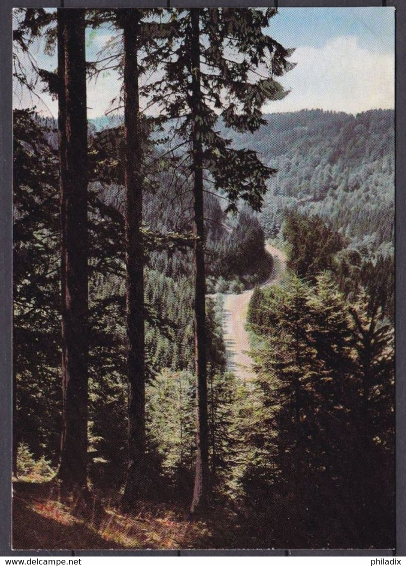 Deutschland Bayerischer Wald Ostmarkstrasse (N-494) - Cham