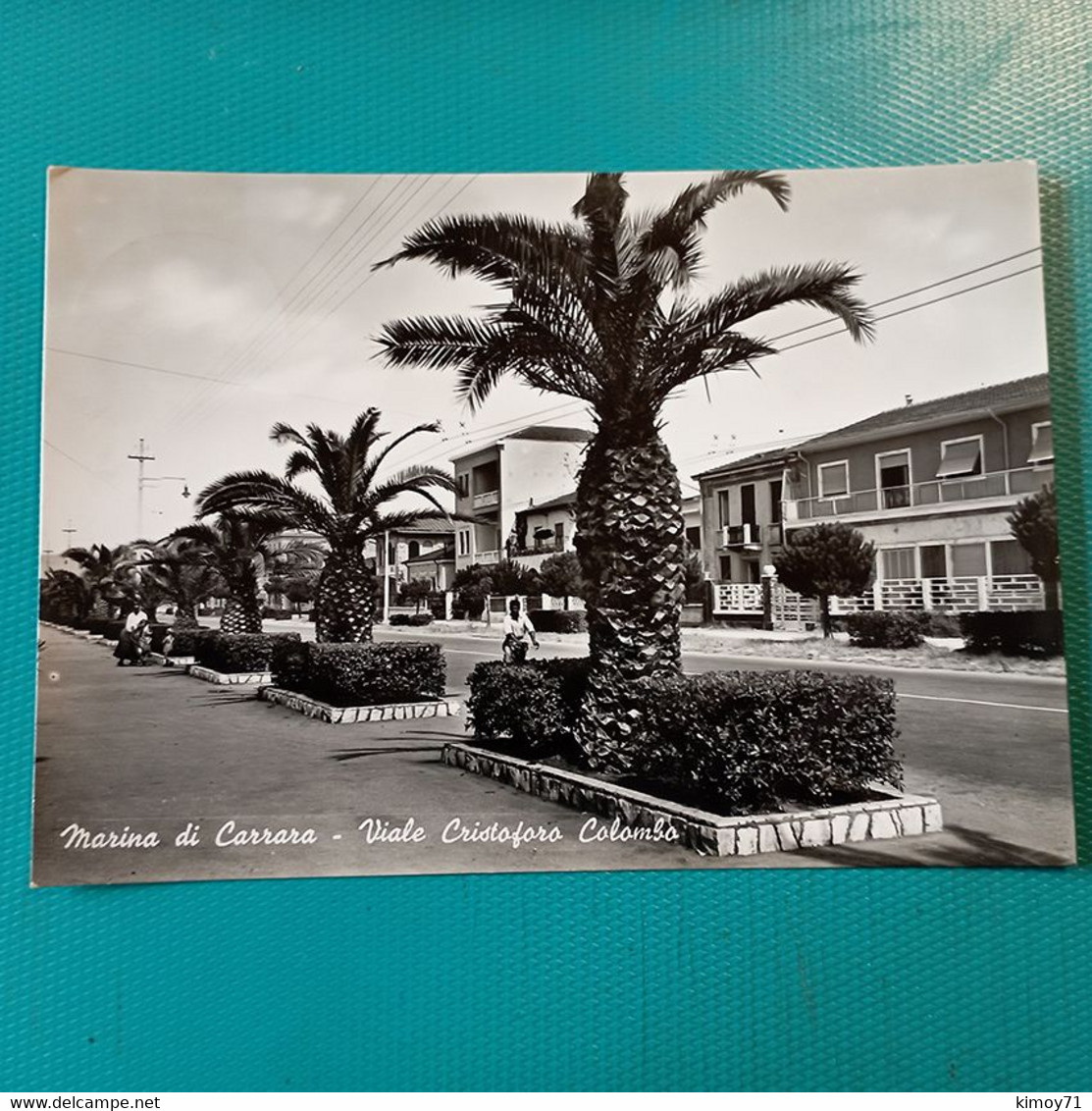 Cartolina Marina Di Carrara - Viale Cristoforo Colombo. Viaggiata 1957 - Carrara