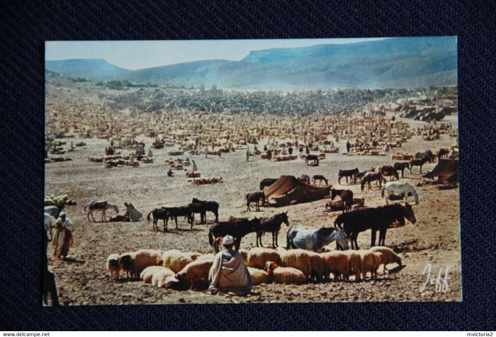 MAROC - Jour De Marché - Andere & Zonder Classificatie