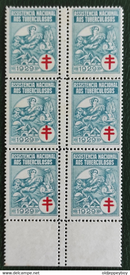 ERRO VARIEDADE Portugal 1929 Full Set Blocks Of 6 With Perforation Error Variety Assistençia Very Rare In This Format - Ungebraucht