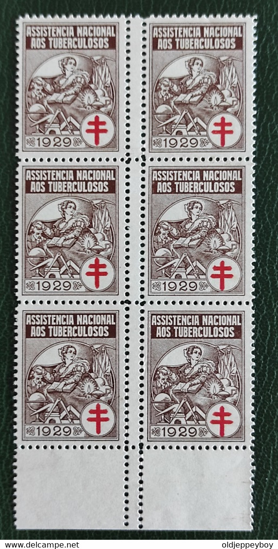 ERRO VARIEDADE Portugal 1929 Full Set Blocks Of 6 With Perforation Error Variety Assistençia Very Rare In This Format - Unused Stamps