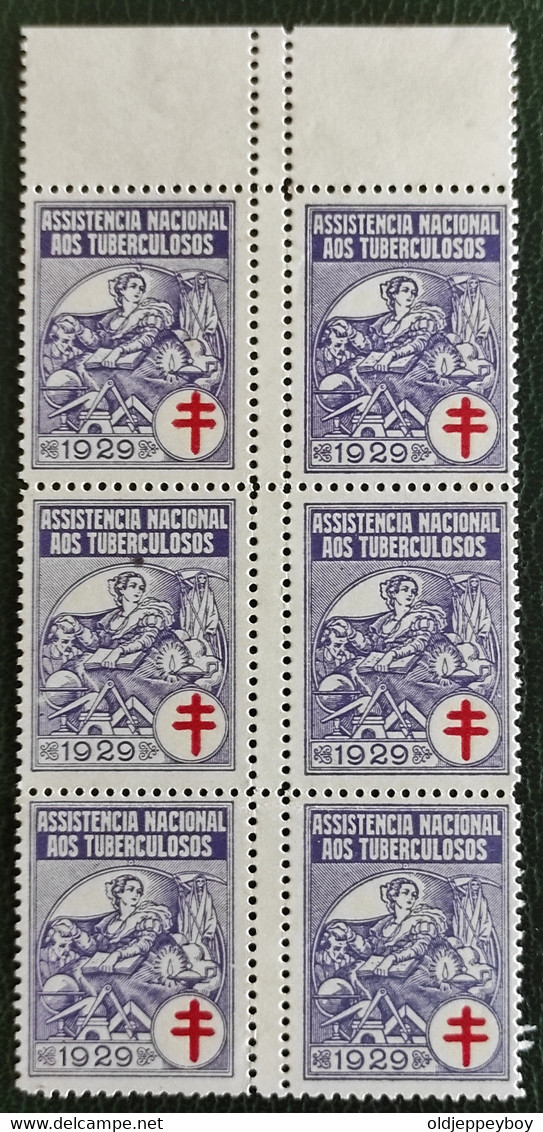 ERRO VARIEDADE Portugal 1929 Full Set Blocks Of 6 With Perforation Error Variety Assistençia Very Rare In This Format - Ungebraucht