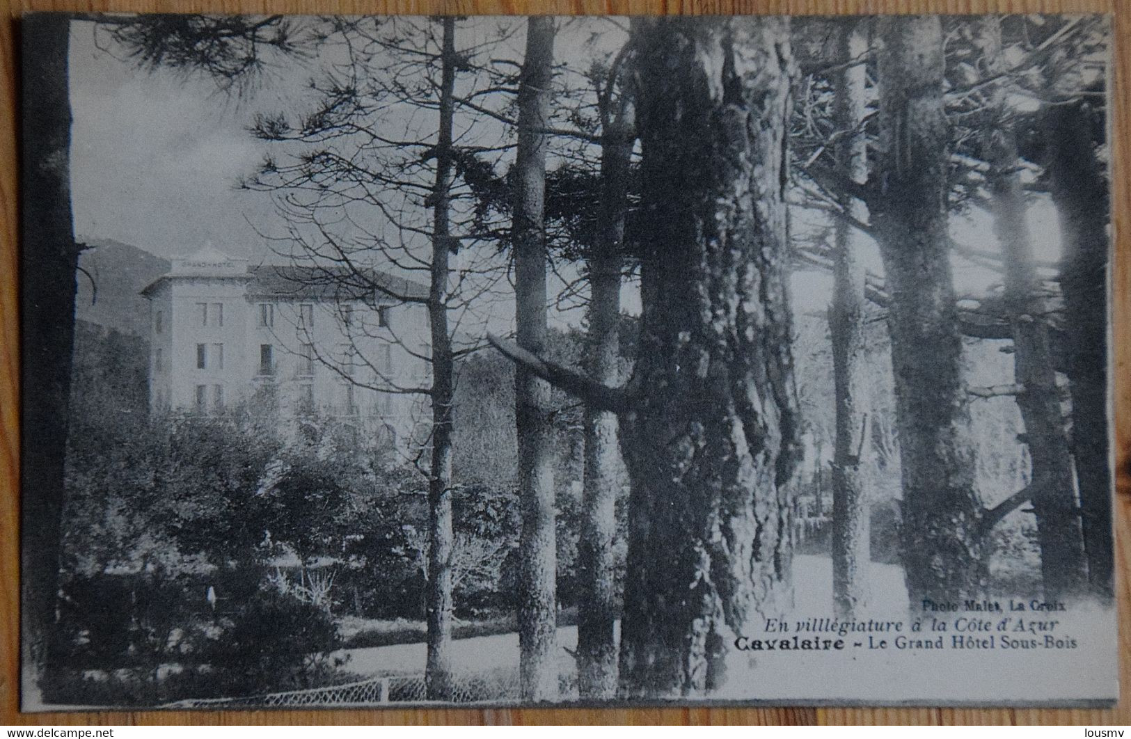 83 : Cavalaire - Le Grand Hôtel - Sous-bois - (n°25296) - Cavalaire-sur-Mer