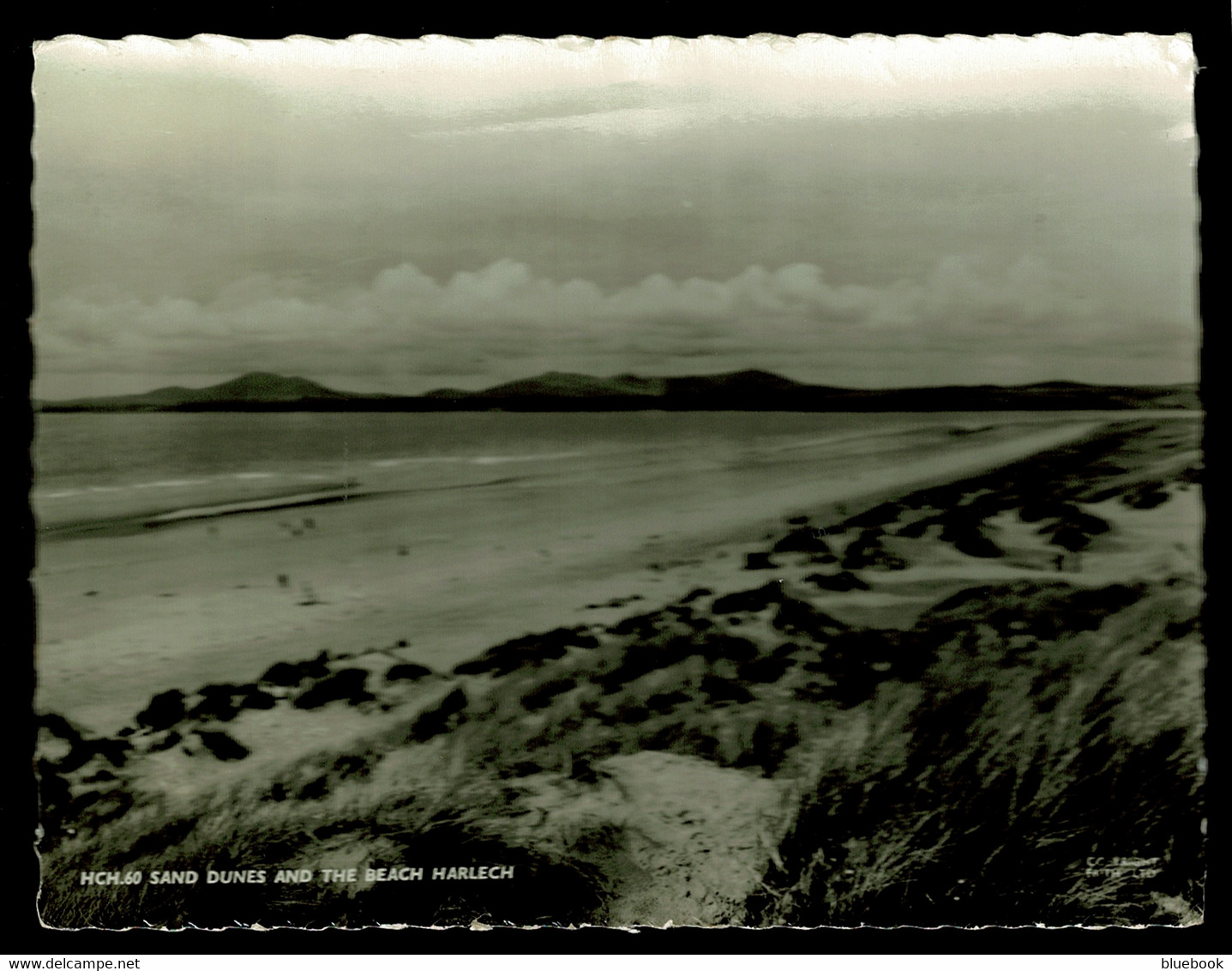 Ref 1591 - Real Photo Postcard - Sand Dunes & Beach Harlech - Merionethshire Wales - Merionethshire