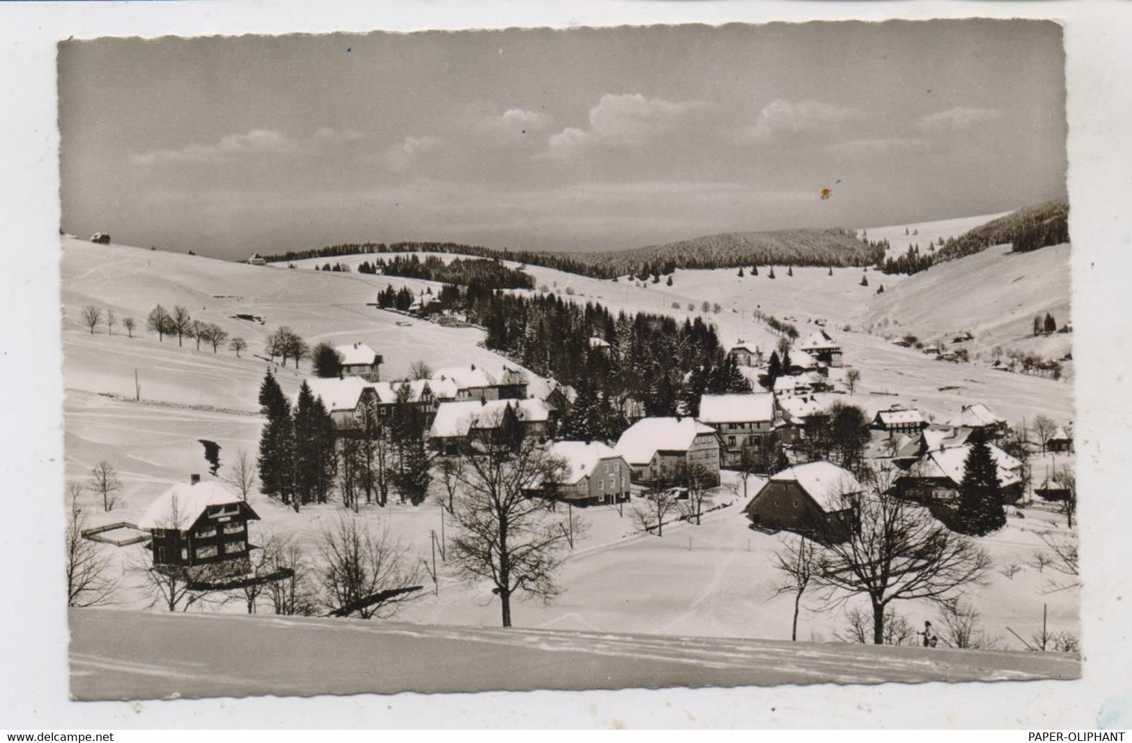 7868 TODTNAU - TODTNAUBERG, Dorfansicht 1959 - Todtnau