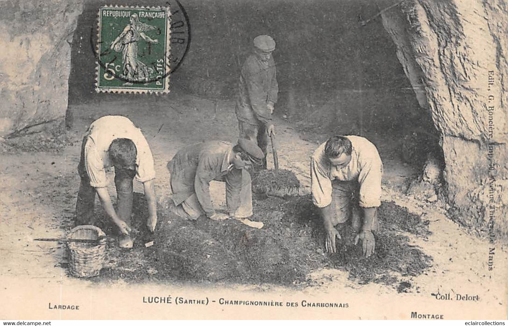 Luché Pringé           72         . Champignonnière Des Charbonnais     (voir Scan) - Luche Pringe