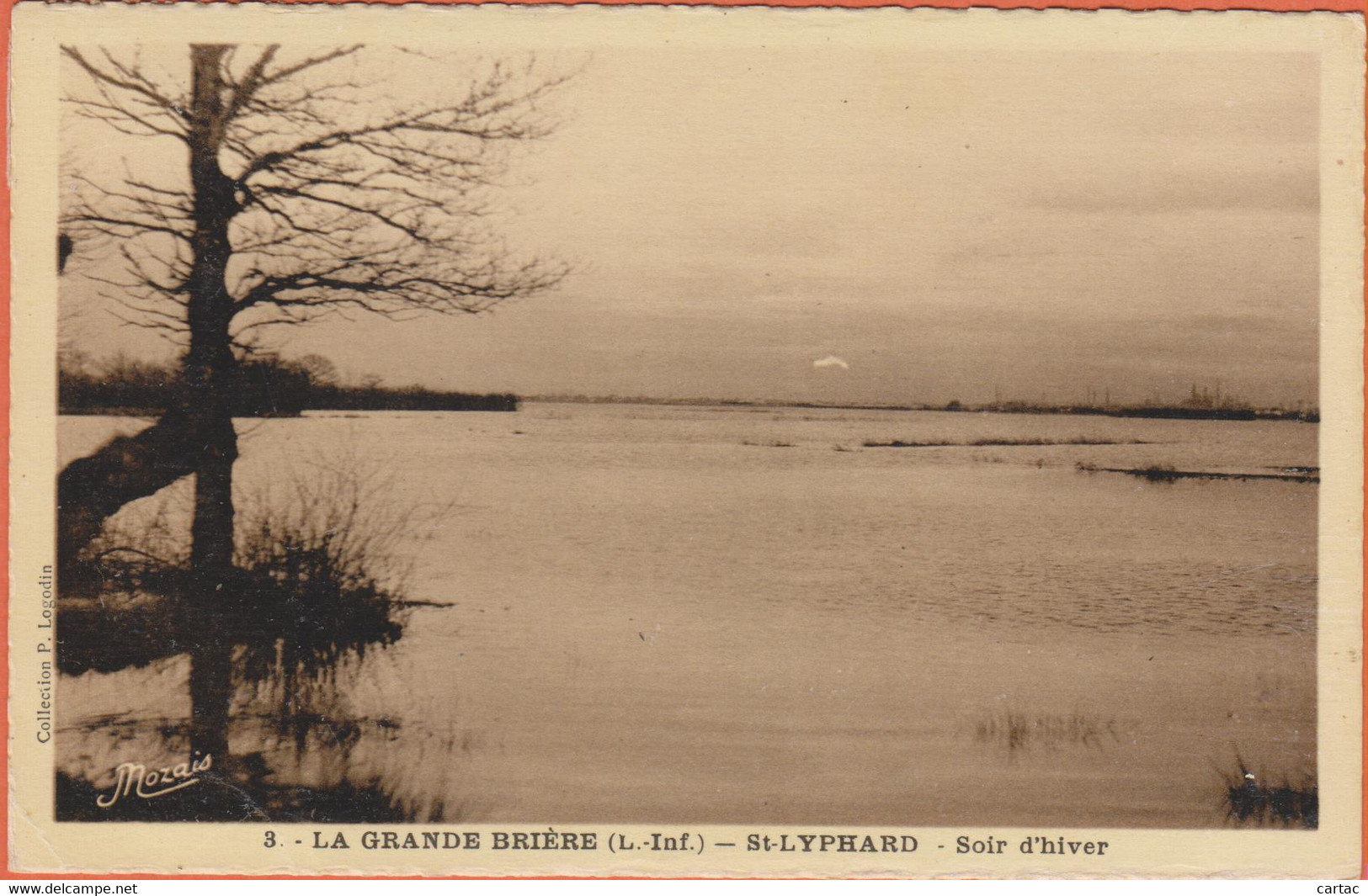 D44 - LA GRANDE BRIÈRE - ST LYPHARD - Carte Sépia - Saint-Lyphard