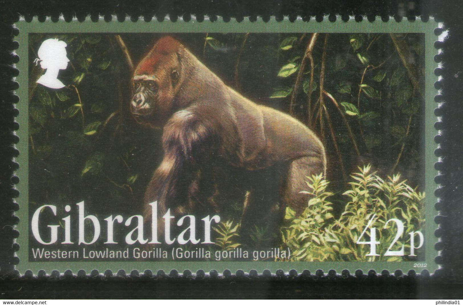 Gibraltar 2012 Gorilla Wildlife Endangered Animal Sc 1358 MNH # 56 - Gorilas