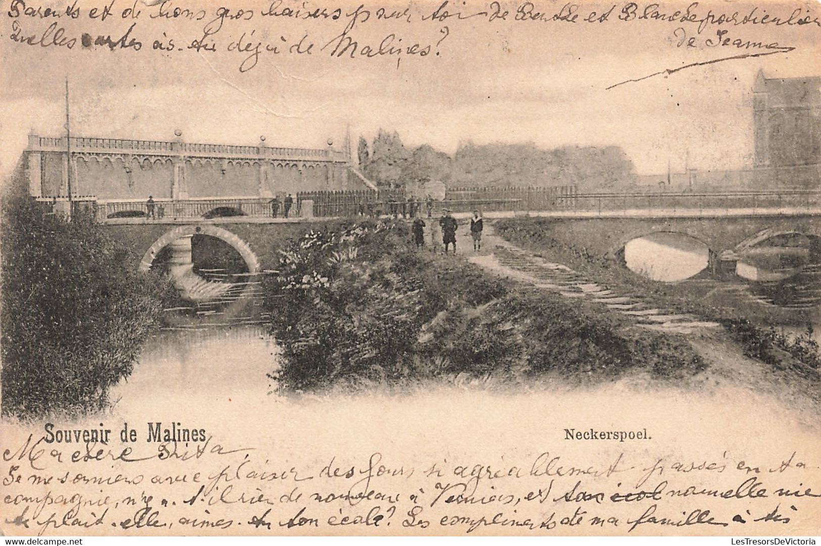 CPA - Belgique - Souvenir De Malines - Neckerspoel - Oblitéré Malines Station 1903 - Précurseur - Pont - Rivière - Malines