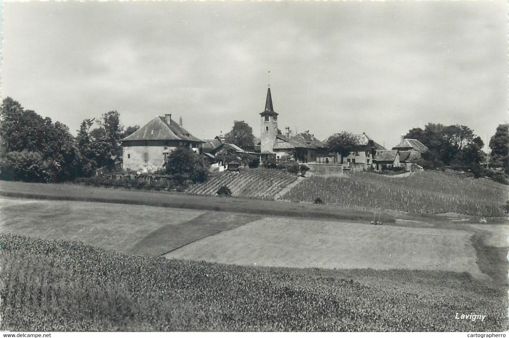 Postcard Switzerland Lavigny Rural Scene - Lavigny